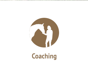 Pferdegestütztes Coaching